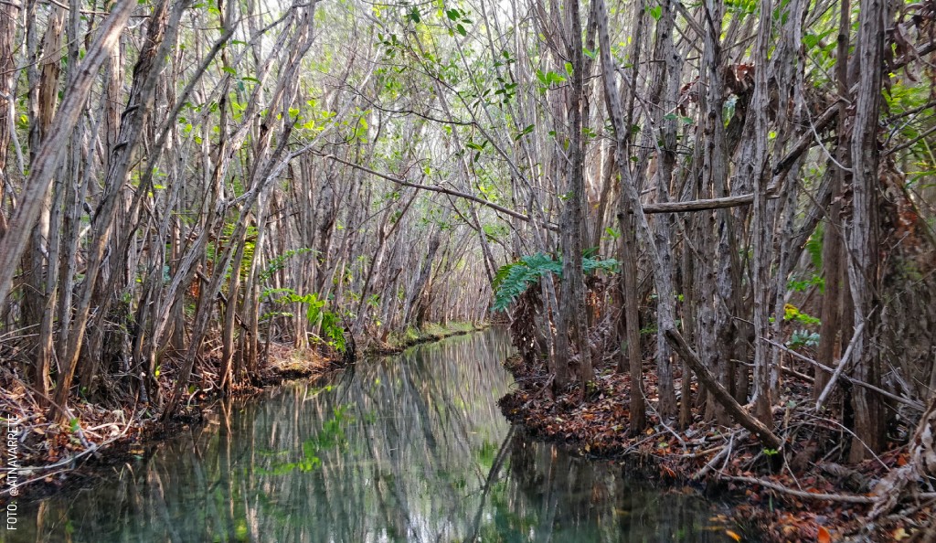 Xootrip Rent A Car en Mérida, tu mejor aliado para explorar Yucatán